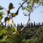 Solar Da Cotovia Semesterbostad Albufeira