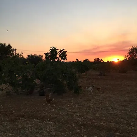 Ferienhaus Solar Da Cotovia Albufeira