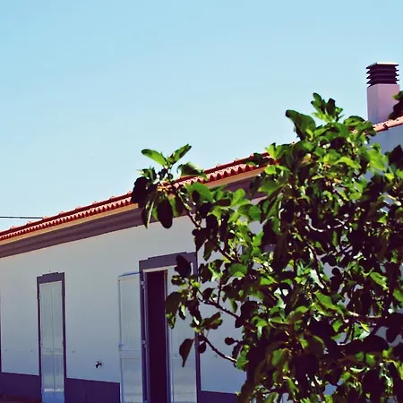 Solar Da Cotovia Feriehus *
