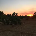 Dom wakacyjny Solar Da Cotovia Albufeira