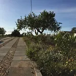 Solar Da Cotovia Dom wakacyjny