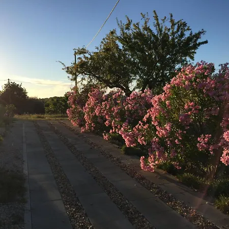 Tatil Evi Solar Da Cotovia *