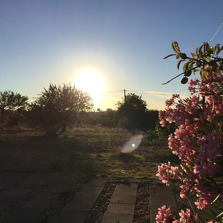 Solar Da Cotovia *