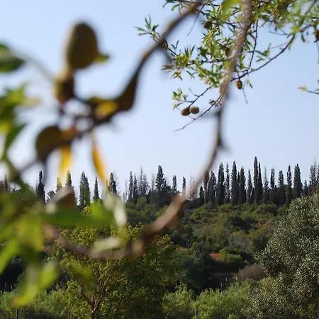 Solar Da Cotovia בית נופש אלבופיירה