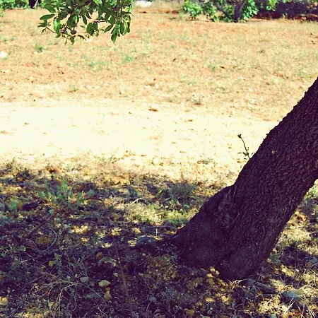 Solar Da Cotovia בית נופש