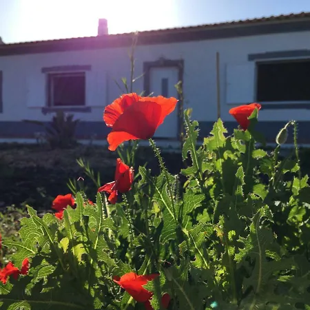 Holiday home Solar Da Cotovia *