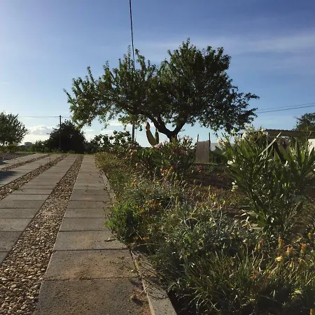 Solar Da Cotovia Holiday home