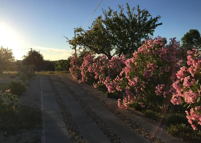 Дом отдыха Solar Da Cotovia *