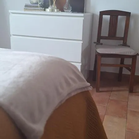 Solar Da Cotovia *