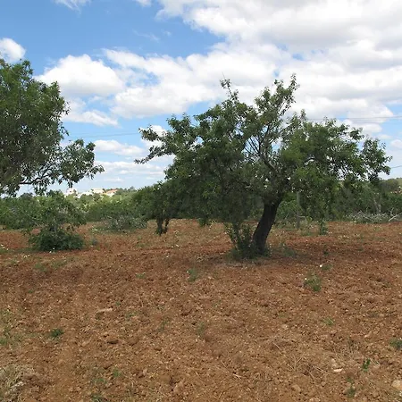 Solar Da Cotovia Αλμπουφέιρα