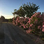 بيت للعطل Solar Da Cotovia *
