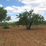 Solar Da Cotovia البوفيرا